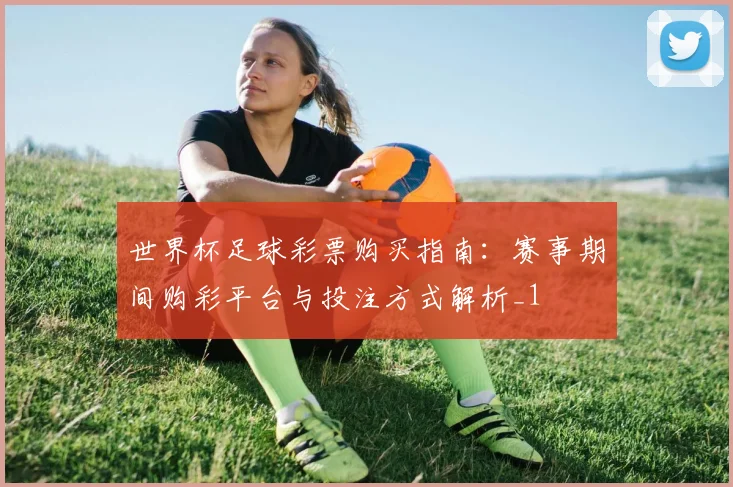 世界杯足球彩票购买指南:赛事期间购彩平台与投注方式解析_1