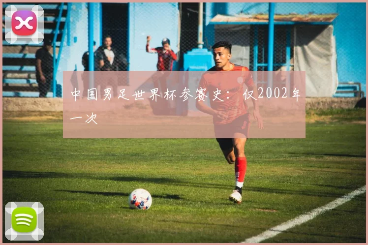 中国男足世界杯参赛史:仅2002年一次