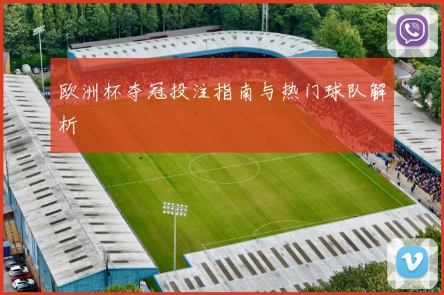 欧洲杯夺冠投注指南与热门球队解析