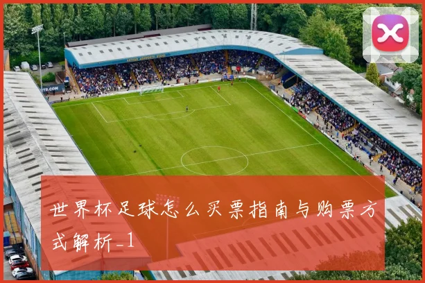 世界杯足球怎么买票指南与购票方式解析_1