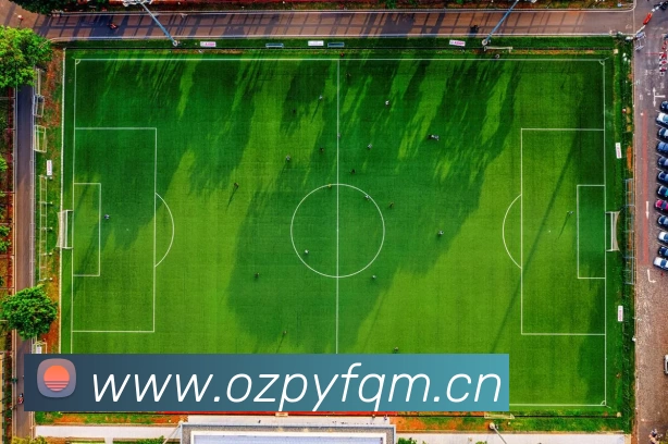 App Interface Preview