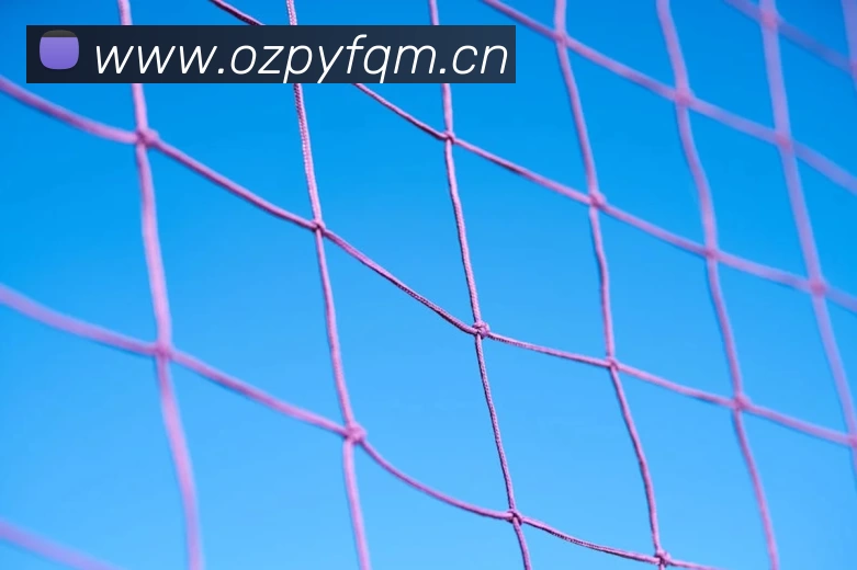 俄罗斯世界杯中国官网APP 封面图